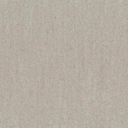 Freshman Charcoal by Carole Designer Fabric Dove Wing 100% Polyester INDIA 100,000 Wyzenbeek Double Rubs None 54" - Swanky Fabrics -