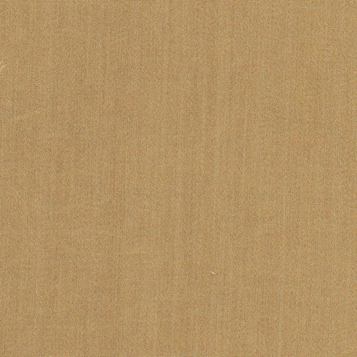 Tempt Sepia by Carole Designer Fabric Royale 100% IFR Polyester India Passes 45,000 Double Rubs Wyzenbeek Horizontal: 0 and Vertical: 0 54 - Swanky Fabrics -