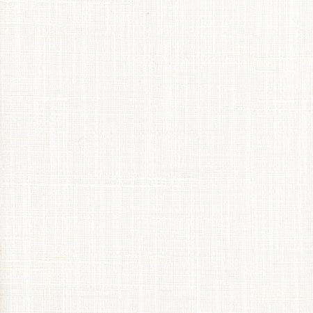 Totally Relaxed Off White by Carole Designer Fabric COME HOME 90% Polyester, 10% Cotton India N/A Horizontal: 0" and Vertical: 0" 54" - Swanky Fabrics -