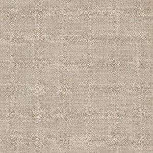 Carole Fabric Resourceful Taupe