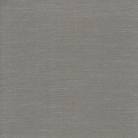 Optimism Aluminium by Carole Designer Fabric Synchrony 100% IFR Polyester India 5,000 Wyzenbeek Double Rubs </p><p>Repeat: None 54" - Swanky Fabrics -