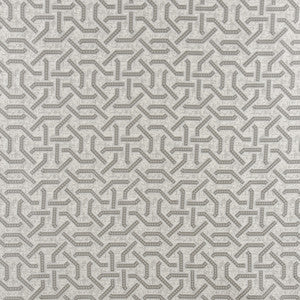 Carole Fabric Wander Around Ash