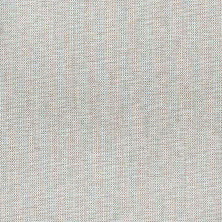 Glisten Blackout Natural by Carole Designer Fabric For The Window 100% Polyester- 3 Pass Fr Acrylic Backing Blackout India N/A </p><p>Repeat: None 54" - Swanky Fabrics -