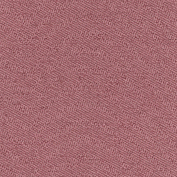 Fact Finder Plum by Carole Designer Fabric Scarlet 100% Polyester Turkey Passes 40,000 Double Rubs Wyzenbeek Horizontal: 0 and Vertical: 0 59 - Swanky Fabrics -