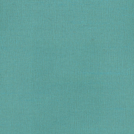 Succulent Cerulean by Carole Designer Fabric Succulent II 100% Polyester India N/A </p><p>Repeat: None 54" - Swanky Fabrics -