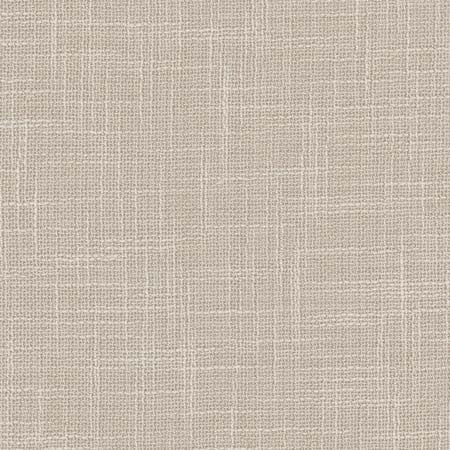 As Always Platinum by Carole Designer Fabric See It Through 100% Polyester Turkey N/A None 55.5" - Swanky Fabrics -