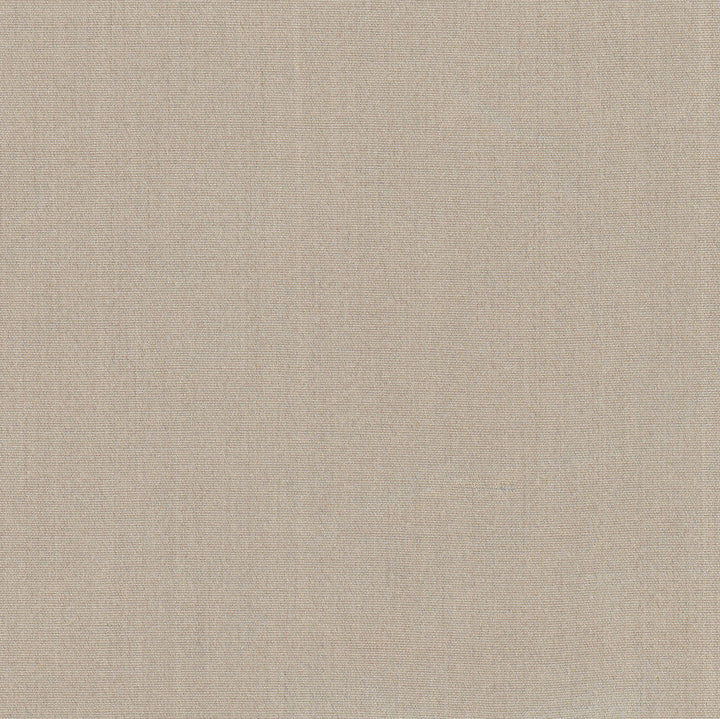 Tempt Silt by Carole Designer Fabric Royale 100% IFR Polyester India Passes 45,000 Double Rubs Wyzenbeek Horizontal: 0 and Vertical: 0 54 - Swanky Fabrics -