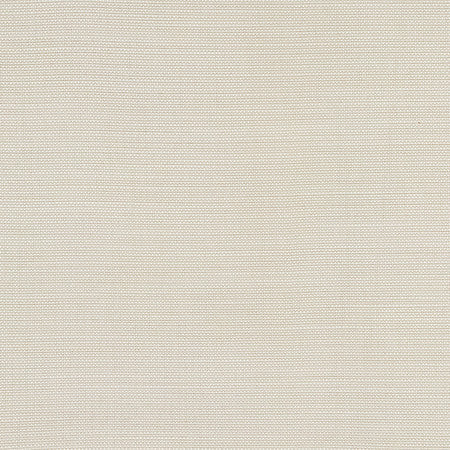 Boardroom Linen by Carole Designer Fabric Power Play 100% IFR Hybrid Polyester 25,000 Wyzenbeek Double Rubs None 54" - Swanky Fabrics -