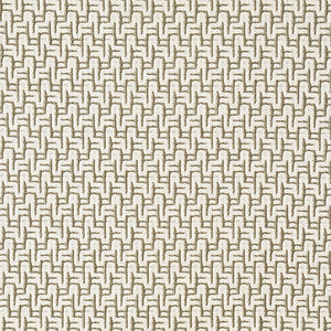 Carole Fabric Straight Ahead Aloe