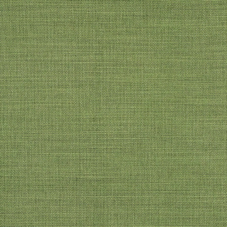 Boardroom Kelp by Carole Designer Fabric Power Play 100% IFR Hybrid Polyester 25,000 Wyzenbeek Double Rubs None 54" - Swanky Fabrics -