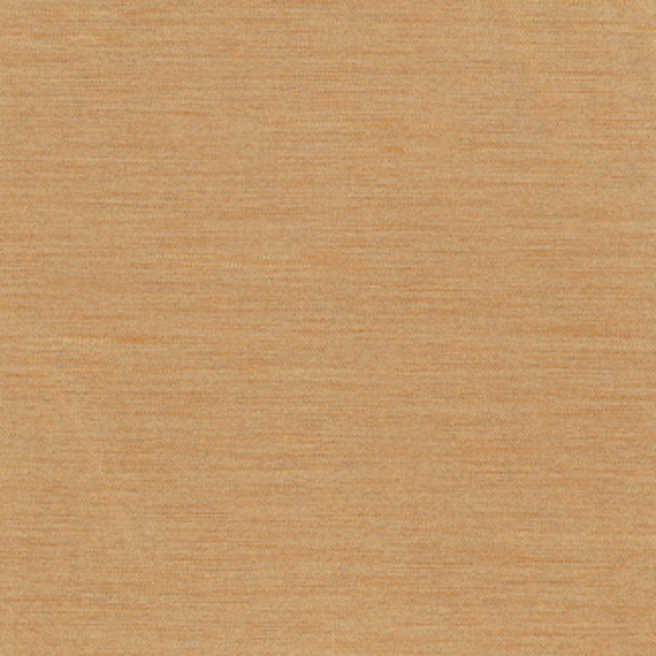 Northwind Toast by Carole Designer Fabric New Northwind Iv 100% Polyester India Passes 9,000 Double Rubs Wyzenbeek Horizontal: 0 and Vertical: 0 54 - Swanky Fabrics -