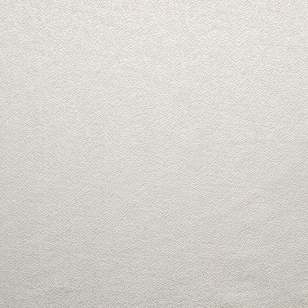 Gravel Path Pearl Grey by Carole Designer Fabric State Of The Art 100% Polyester INDIA 30,000 Wyzenbeek Double Rubs None 54" - Swanky Fabrics -