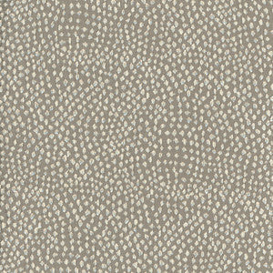 Carole Fabric Stars Above Silver