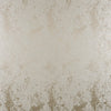 Carole Fabric Motivate Dove