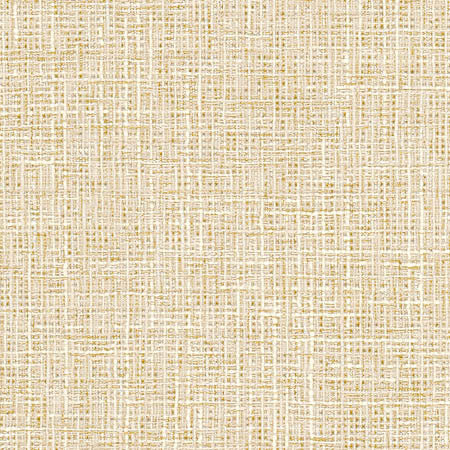 Adjuster Parchment by Carole Designer Fabric Sunbaked 62% Polyester, 32% Cotton, 6% Viscose INDIA None 54" - Swanky Fabrics -