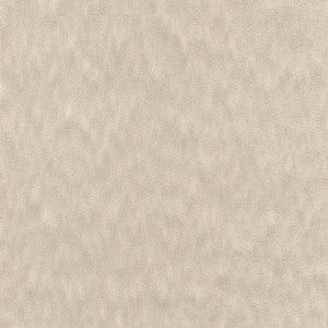 Carole Fabric Ahead Of The Game Cement