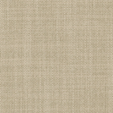 Brookings Sweatshirt by Carole Designer Fabric Enterprise 100% Polyester India 15,000 Wyzenbeek Double Rubs None 55" - Swanky Fabrics -