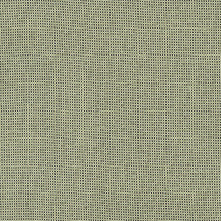 Fleeting Olive by Carole Designer Fabric Royale 100% Polyester India Passes 50,000 Double Rubs Wyzenbeek None 54" - Swanky Fabrics -