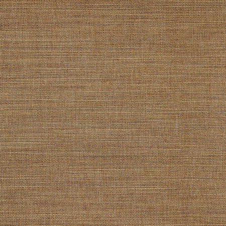 Boardroom Trail by Carole Designer Fabric Power Play 100% IFR Hybrid Polyester 25,000 Wyzenbeek Double Rubs None 54" - Swanky Fabrics -