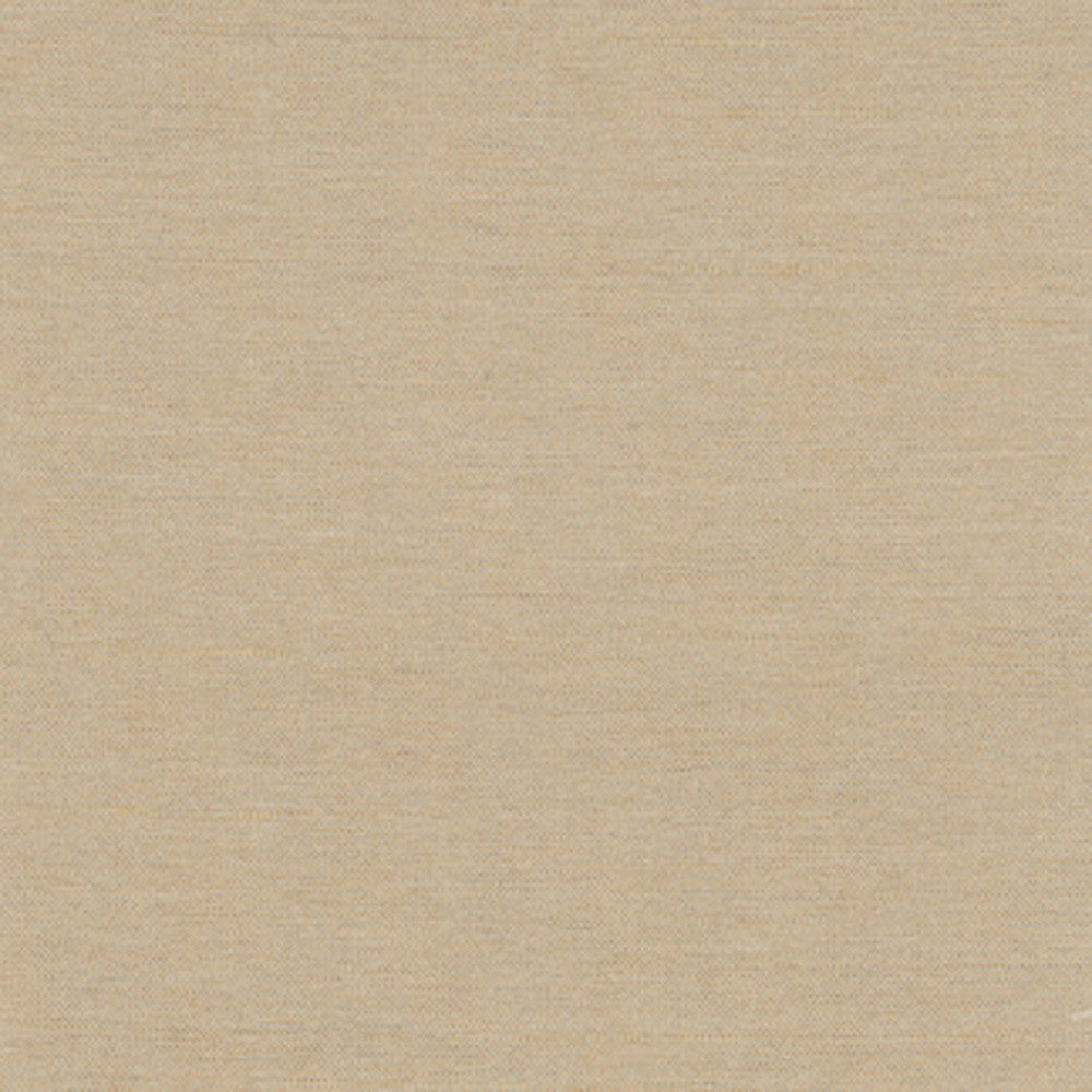 Northwind Tussah by Carole Designer Fabric New Northwind Iv 100% Polyester India Passes 9,000 Double Rubs Wyzenbeek Horizontal: 0 and Vertical: 0 54 - Swanky Fabrics -