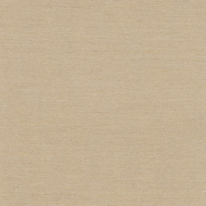 Northwind Tussah by Carole Designer Fabric New Northwind Iv 100% Polyester India Passes 9,000 Double Rubs Wyzenbeek Horizontal: 0 and Vertical: 0 54 - Swanky Fabrics -