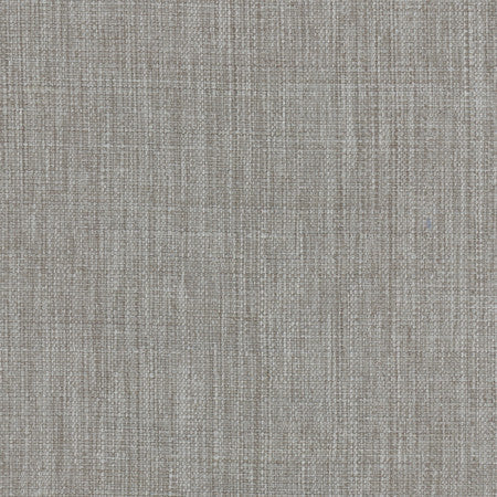 Intention Shale by Carole Designer Fabric Head Start 100% Polyester Taiwan None 54" - Swanky Fabrics -
