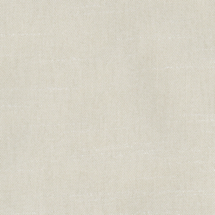 Fleeting Dove by Carole Designer Fabric Royale 100% Polyester India Passes 50,000 Double Rubs Wyzenbeek Horizontal: 0 and Vertical: 0 54 - Swanky Fabrics -