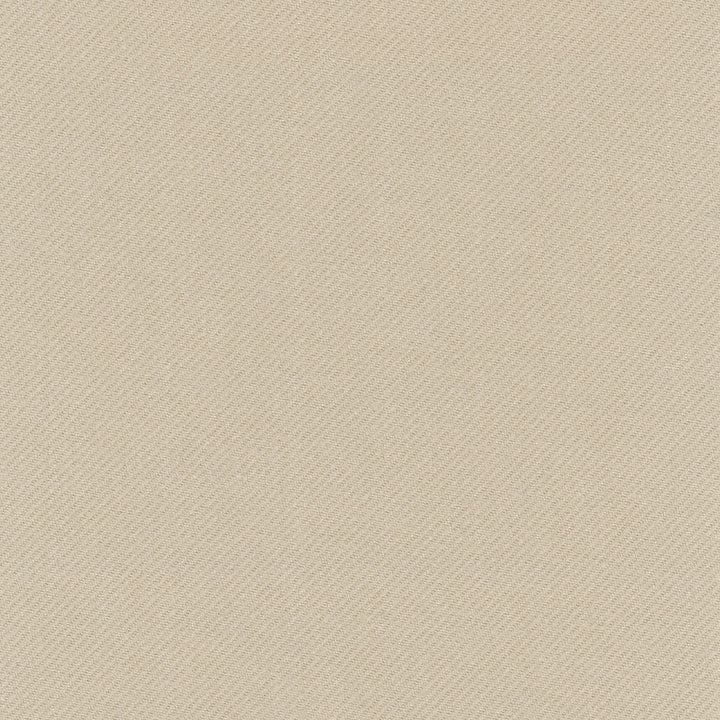 Reaction Putty by Carole Designer Fabric Opal 100% Polyester Turkey N/A Horizontal: 0 and Vertical: 0 59 - Swanky Fabrics -