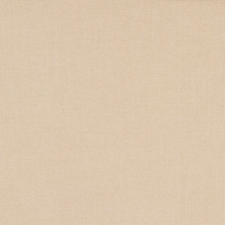 Reform Latte by Carole Designer Fabric Reclamation 100% Recycled Polyester 50,000 Wyzenbeek Double Rubs None 54" - Swanky Fabrics -