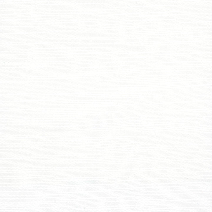 Athlete Icicle by Carole Designer Fabric Opal 60% Cotton, 40% Polyester India Passes 50,000 Double Rubs Wyzenbeek Horizontal: 0 and Vertical: 0 55 - Swanky Fabrics -