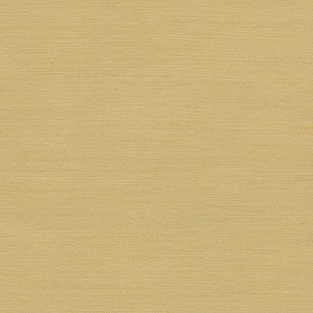 Rumi Gold Dust by Carole Designer Fabric Gala 100% Polyester India N/A None 54" - Swanky Fabrics -