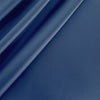 Carole Fabric Spotless Royal
