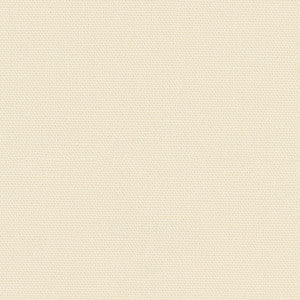 Carole Fabric Daydreamer Canvas