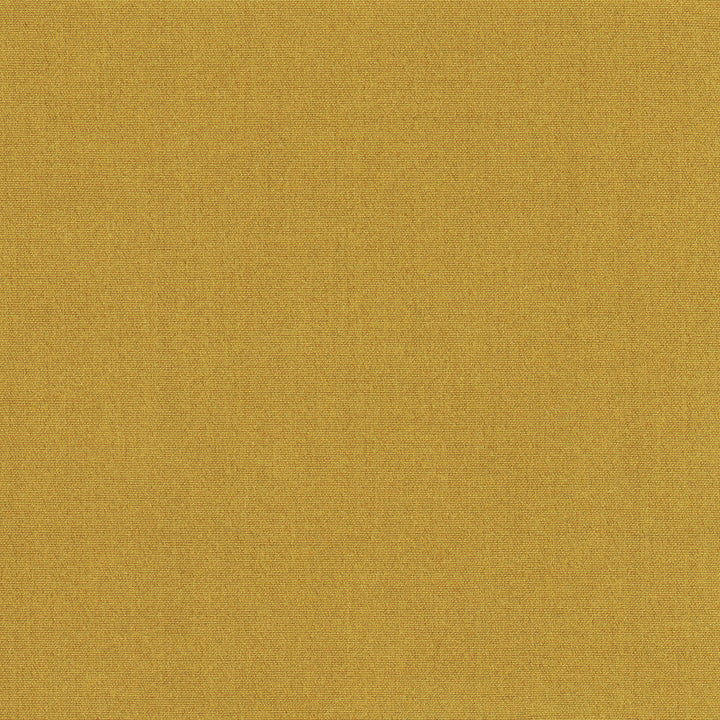 Tempt Ginger by Carole Designer Fabric Royale 100% IFR Polyester India Passes 45,000 Double Rubs Wyzenbeek Horizontal: 0 and Vertical: 0 54 - Swanky Fabrics -