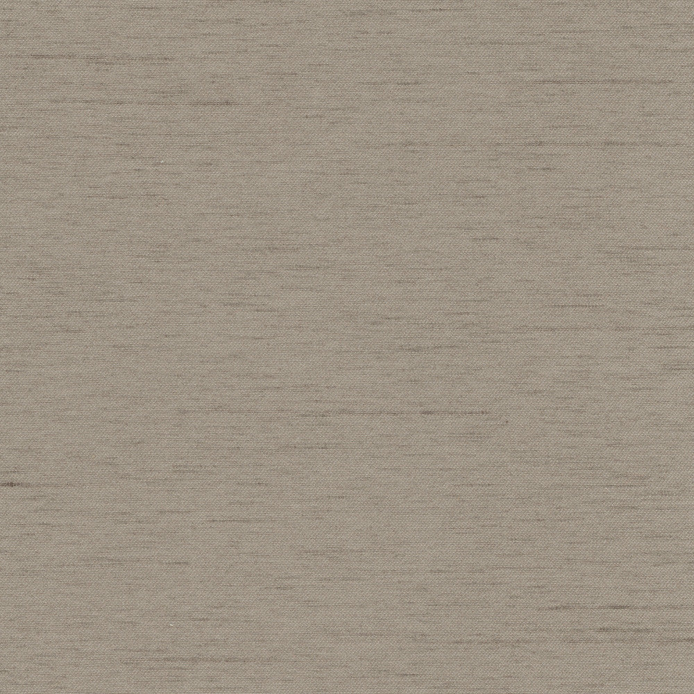 Northwind Fossil by Carole Designer Fabric New Northwind Iv 100% Polyester India Passes 9,000 Double Rubs Wyzenbeek Horizontal: 0 and Vertical: 0 54 - Swanky Fabrics -