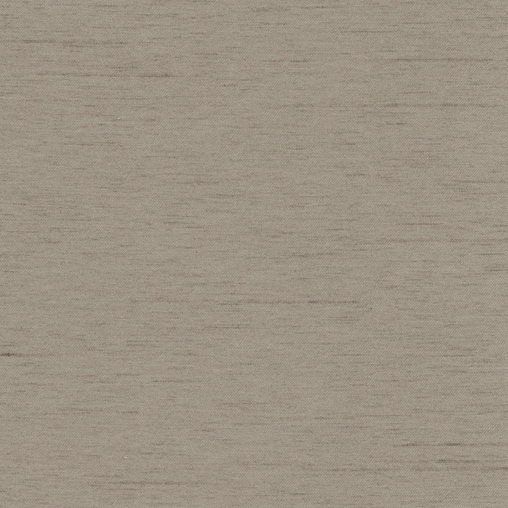 Northwind Fossil by Carole Designer Fabric New Northwind Iv 100% Polyester India Passes 9,000 Double Rubs Wyzenbeek Horizontal: 0 and Vertical: 0 54 - Swanky Fabrics -