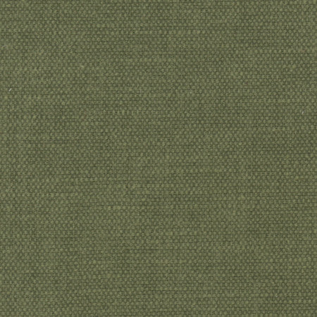 Bessarion Tarragon by Carole Designer Fabric Prominence 71% Polyester, 29% Cotton India 15,000 Wyzenbeek Double Rubs None 55" - Swanky Fabrics -