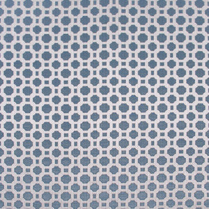 Carole Fabric Prized Possession Sky