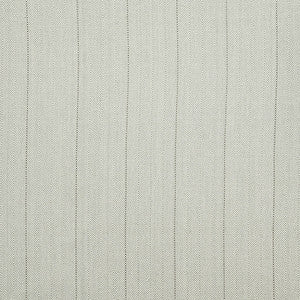 Carole Fabric Bluesy Stripe Aloe