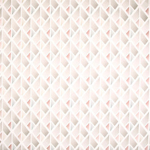 Carole Fabric Problem Solved Powder