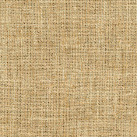 Consultant Chino by Carole Designer Fabric Sunbaked 100% Polyester INDIA None 54" - Swanky Fabrics -