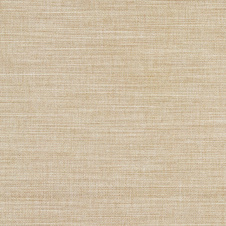Boardroom Wet Sand by Carole Designer Fabric Power Play 100% IFR Hybrid Polyester 25,000 Wyzenbeek Double Rubs None 54" - Swanky Fabrics -