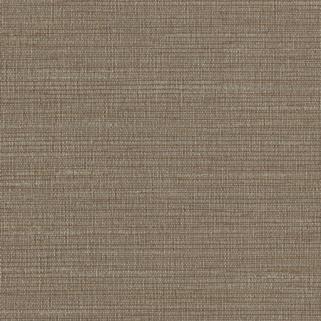 Optimism Slate by Carole Designer Fabric Synchrony 100% IFR Polyester India None 54" - Swanky Fabrics -