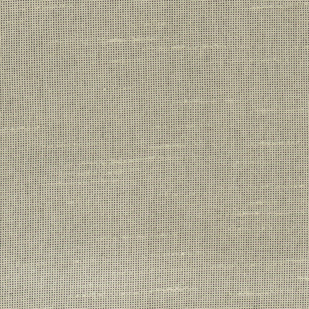 Fleeting Sand by Carole Designer Fabric Royale 100% Polyester India Passes 50,000 Double Rubs Wyzenbeek Horizontal: None and Vertical: None 54" - Swanky Fabrics -