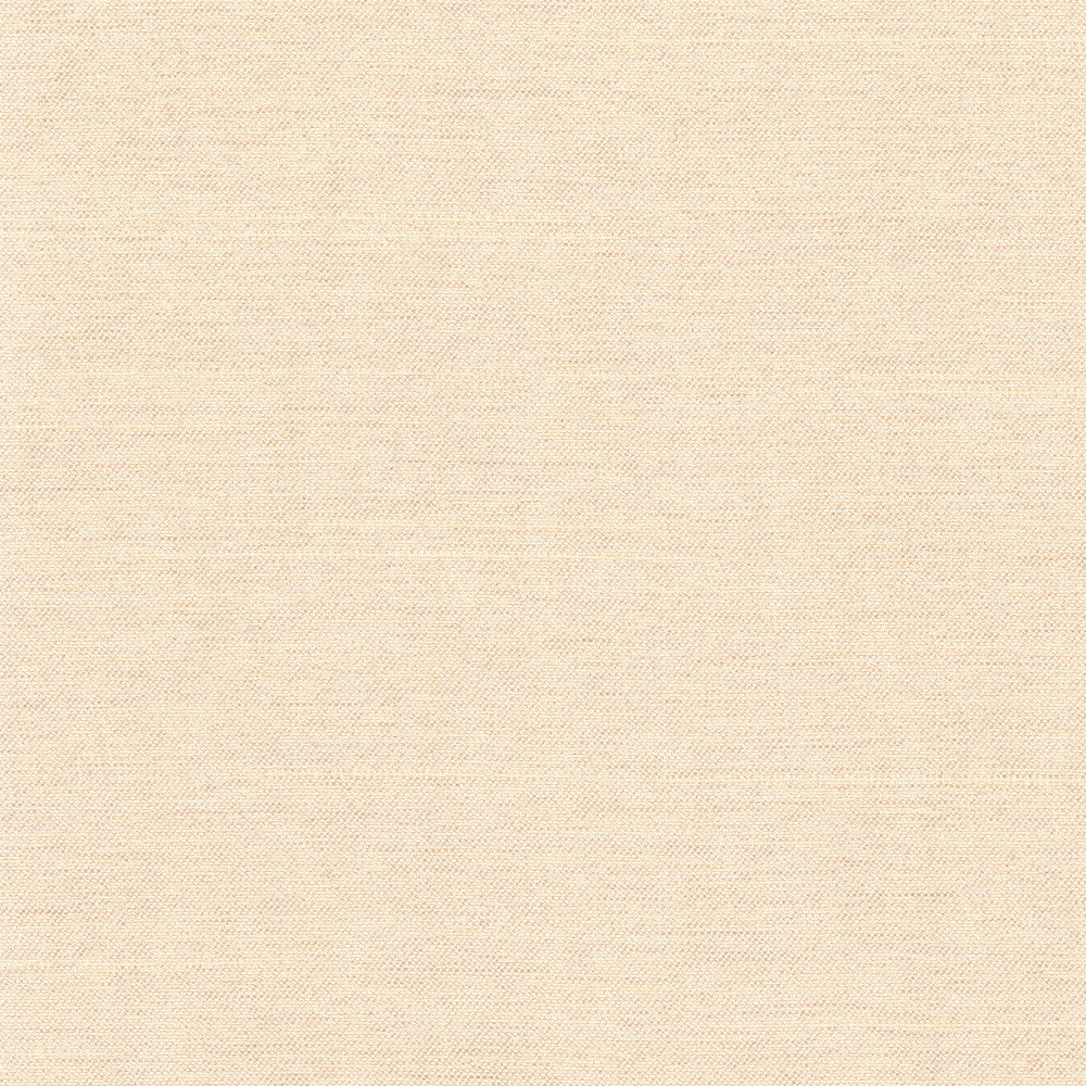 Northwind Dune by Carole Designer Fabric New Northwind Iv 100% Polyester India Passes 9,000 Double Rubs Wyzenbeek Horizontal: 0 and Vertical: 0 54 - Swanky Fabrics -