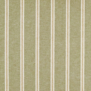 Carole Fabric Accurate Time Moss