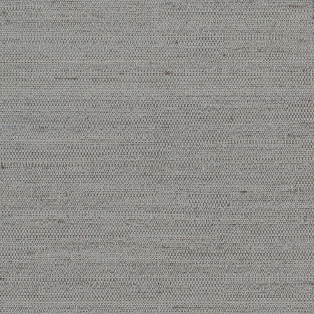 Aiden Viridian Grey by Carole Designer Fabric Aiden Gallery,Pewter 100% Polyester INDIA PASSES 30,000 DOUBLE RUBS WYZENBEEK </p><p>Repeat: None 56" - Swanky Fabrics -