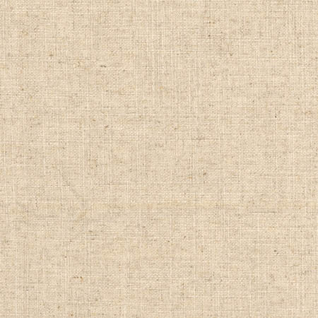 Sheriff Dune by Carole Designer Fabric Arlyn,Toasted Almond 36% Cotton, 30% Polyester, 17% Viscose, 17% Linen INDIA None 54" - Swanky Fabrics -