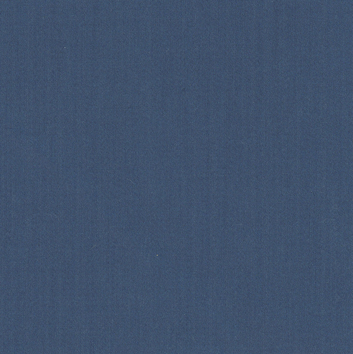 Tempt Ocean by Carole Designer Fabric Royale 100% IFR Polyester India Passes 45,000 Double Rubs Wyzenbeek Horizontal: 0 and Vertical: 0 54 - Swanky Fabrics -