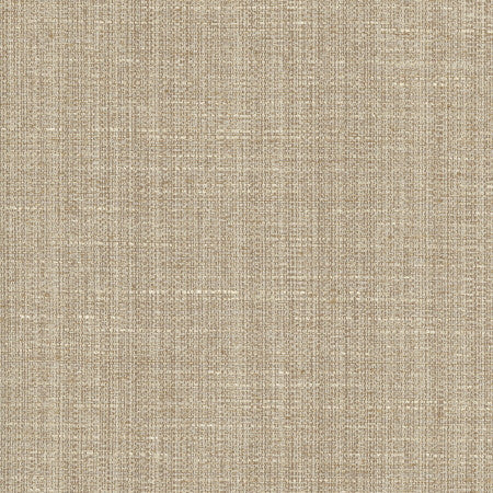 Rock Wall Shale by Carole Designer Fabric Chestnut 83% Polyester, 12% Cotton, 5% Rayon India N/A Horizontal: None and Vertical: None 55" - Swanky Fabrics -